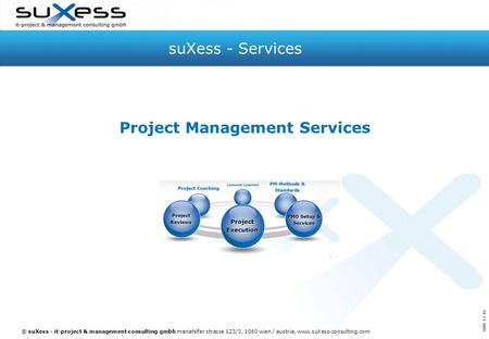 © suXess - it-project & management consulting gmbh mariahilfer strasse 123/3, 1060 wien / austria, www.suXess-consulting.com suXess - Services Project.