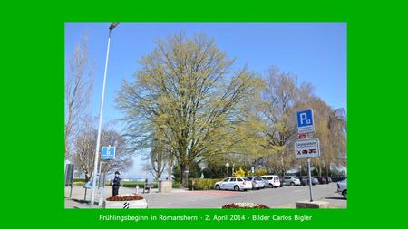 Frühlingsbeginn in Romanshorn · 2. April 2014 · Bilder Carlos Bigler.