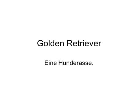Golden Retriever Eine Hunderasse..