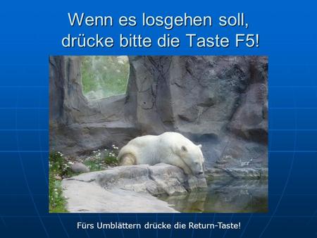 Wenn es losgehen soll, drücke bitte die Taste F5!