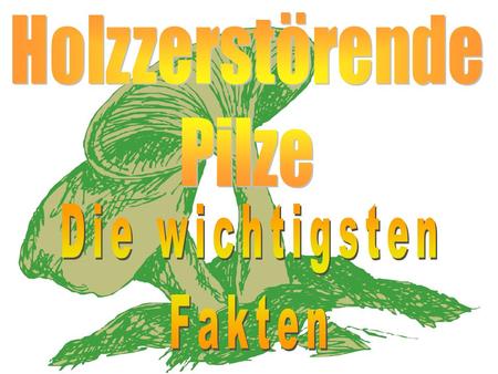 Holzzerstörende Pilze Die wichtigsten Fakten.