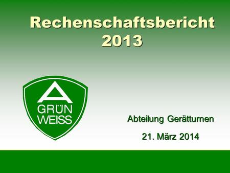 Rechenschaftsbericht 2013