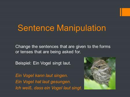Sentence Manipulation Change the sentences that are given to the forms or tenses that are being asked for. Beispiel: Ein Vogel singt laut. Ein Vogel kann.