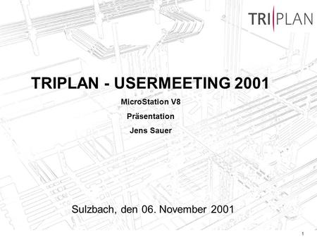 TRIPLAN - USERMEETING 2001 Sulzbach, den 06. November 2001