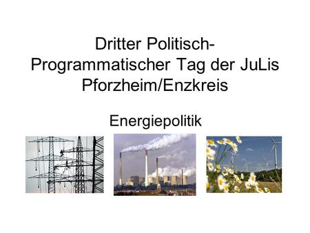 Dritter Politisch- Programmatischer Tag der JuLis Pforzheim/Enzkreis Energiepolitik.