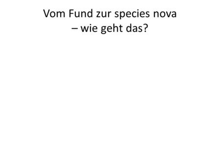 Vom Fund zur species nova – wie geht das?. Was geschieht zuerst? Fund einer unbekannten Art Vergebliche Bestimmungsversuche Exakte Dokumentation (Zeichnungen,