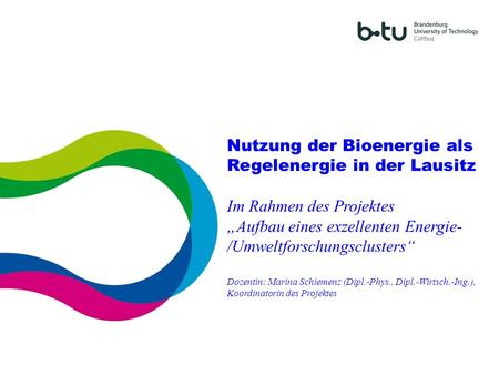 Nutzung der Bioenergie als Regelenergie in der Lausitz
