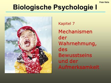 Biologische Psychologie I
