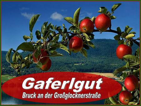 2/28 3/28 4/28 5/28 6/28 7/28 8/28 Das glückliche Brautpaar 2009.