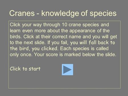 Cranes - knowledge of species Click your way through 10 crane species and learn even more about the appearance of the birds. Click at their correct name.