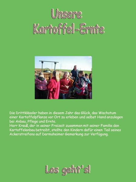 Die Drittklässler haben in diesem Jahr das Glück, das Wachstum einer Kartoffelpflanze vor Ort zu erleben und selbst Hand anzulegen bei Anbau, Pflege und.