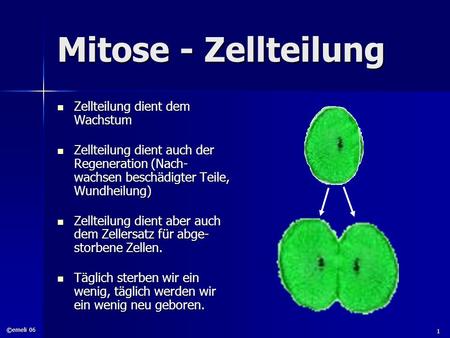Mitose - Zellteilung Zellteilung dient dem Wachstum