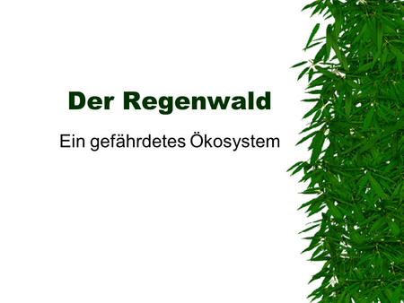 Ein gefährdetes Ökosystem