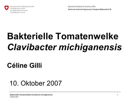 Bakterielle Tomatenwelke Clavibacter michiganensis Céline Gilli