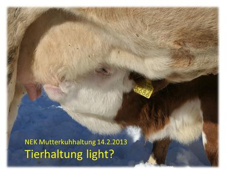 NEK Mutterkuhhaltung Tierhaltung light?