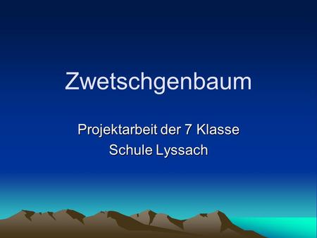 Projektarbeit der 7 Klasse Schule Lyssach