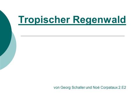 Tropischer Regenwald von Georg Schaller und Noé Corpataux 2.E2
