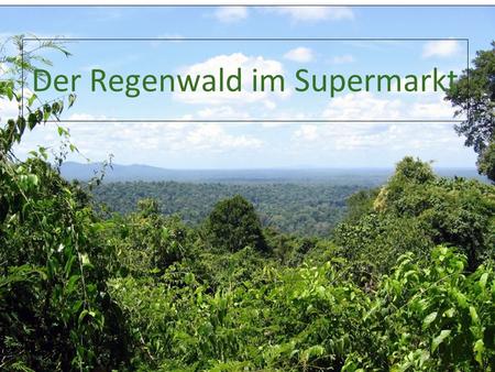 23.09.11 Der Regenwald im Supermarkt. 23.09.11 Was sind die Nachteile? auf Sumatra sind bereits ca. 80% des ursprünglichen Waldes verschwunden. Durch.