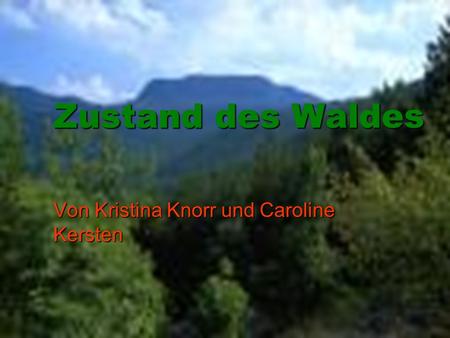 Von Kristina Knorr und Caroline Kersten