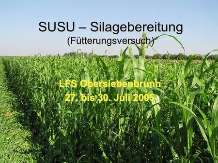 SUSU – Silagebereitung (Fütterungsversuch)
