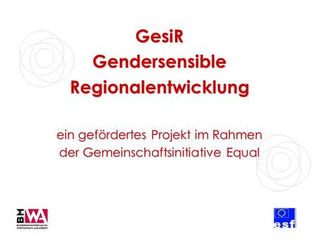 GesiR Gendersensible Regionalentwicklung ein gefördertes Projekt im Rahmen der Gemeinschaftsinitiative Equal.