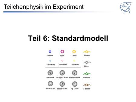 Teilchenphysik im Experiment
