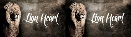 LEO BIGGER «Du musst fort von hier! Geh nach Osten, überquere den Jordan, und versteck dich am Bach Krit!» Die Bibel, 1. Könige 17,3.