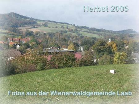 Herbst 2005 Fotos aus der Wienerwaldgemeinde Laab.