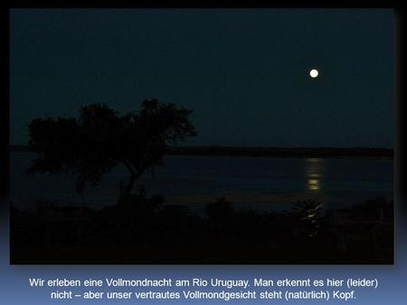 Wir erleben eine Vollmondnacht am Rio Uruguay. Man erkennt es hier (leider) nicht – aber unser vertrautes Vollmondgesicht steht (natürlich) Kopf.