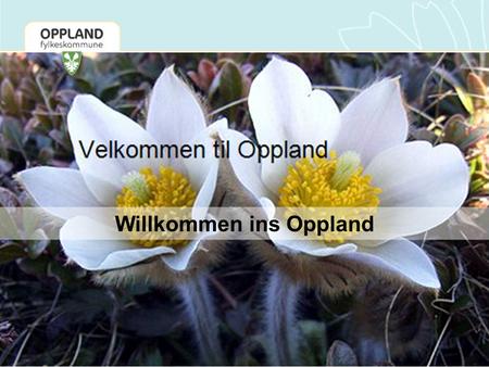 Willkommen ins Oppland. Bezirk Oppland Fläche: ca. 25.000 km2 Einwohner: ca. 180.000 Anzahl Gemeinden: 26 Regionen: 6 Städte: 4.