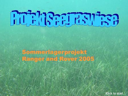 Projekt Seegraswiese Sommerlagerprojekt Ranger and Rover 2005