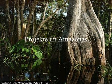 Projekte im Amazonas.