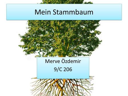 Mein Stammbaum Merve Özdemir 9/C 206.