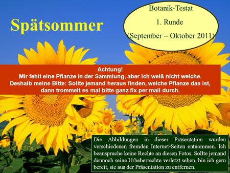 Botanik-Testat 1. Runde (September – Oktober 2011) Spätsommer Die Abbildungen in dieser Präsentation wurden verschiedenen fremden Internet-Seiten entnommen.