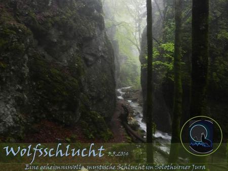 Wolfsschlucht 3.5.2014 Eine geheimnisvolle, mystische Schlucht im Solothurner Jura.