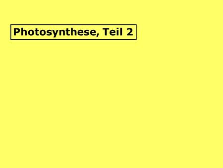 Photosynthese, Teil 2.