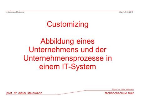 Customizing Abbildung eines Unternehmens und der Unternehmensprozesse in einem IT-System.