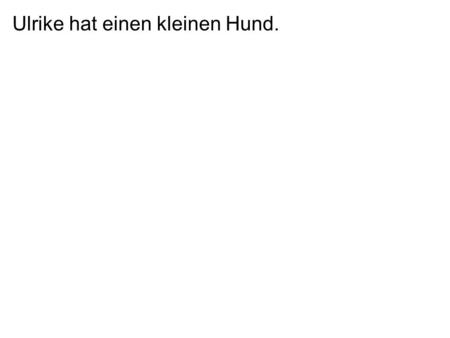 Ulrike hat einen kleinen Hund.. Ulrike hat einen kleinen Hund. Der Hund ist ein Pudel und heißt Fifi.