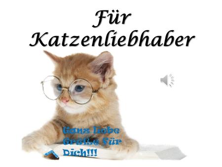 Für Katzenliebhaber.