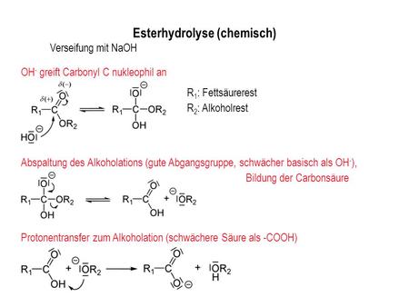 Esterhydrolyse (chemisch)