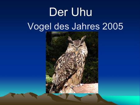 Vogel des Jahres 2005 Der Uhu. Mit 60 - 75 cm Größe und einer Spannweite von 160 - 170 cm ist der Uhu die größte europäische Eule.