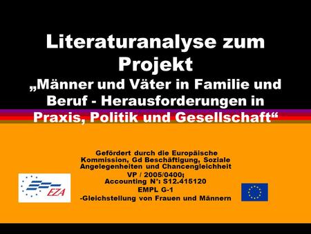Literaturanalyse zum Projekt Männer und Väter in Familie und Beruf - Herausforderungen in Praxis, Politik und Gesellschaft Gefördert durch die Europäische.