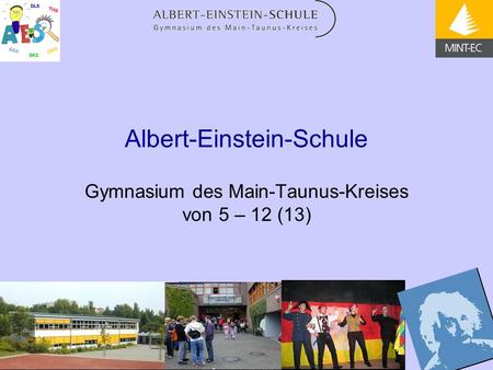 Albert-Einstein-Schule Gymnasium des Main-Taunus-Kreises von 5 – 12 (13)