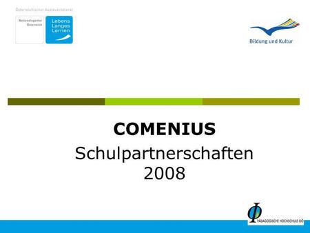 COMENIUS Schulpartnerschaften 2008