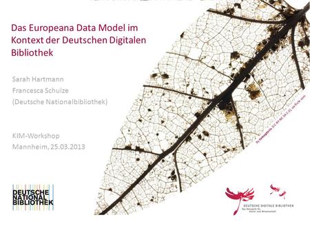 Das Europeana Data Model im Kontext der Deutschen Digitalen Bibliothek