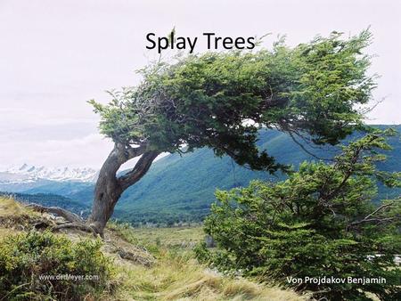 Splay Trees Von Projdakov Benjamin.