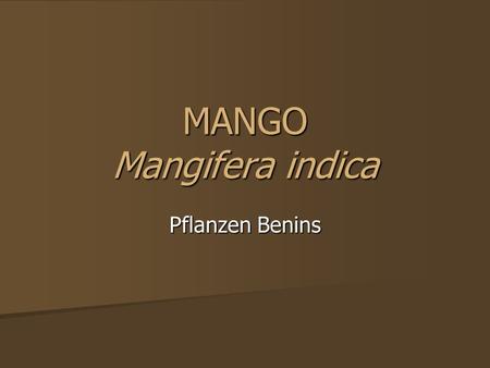 MANGO Mangifera indica