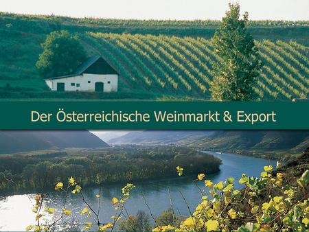Der Österreichische Weinmarkt & Export