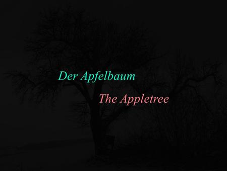 Der Apfelbaum The Appletree.