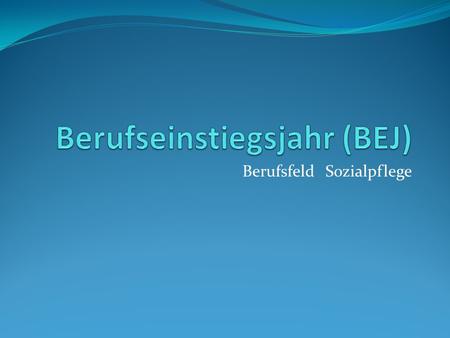 Berufseinstiegsjahr (BEJ)